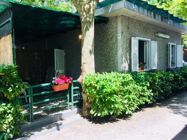 Camping Nuovo Massa  Exterior foto