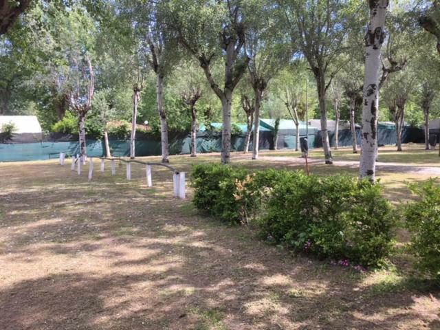 Camping Nuovo Massa  Exterior foto